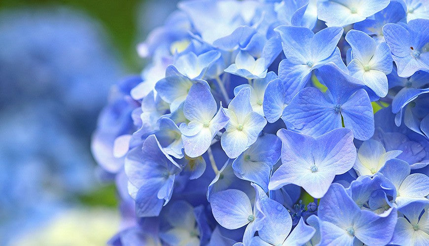 测试 for 周磊